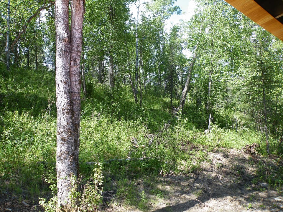 This is a very woodsy and private property, lots of trees and greenery