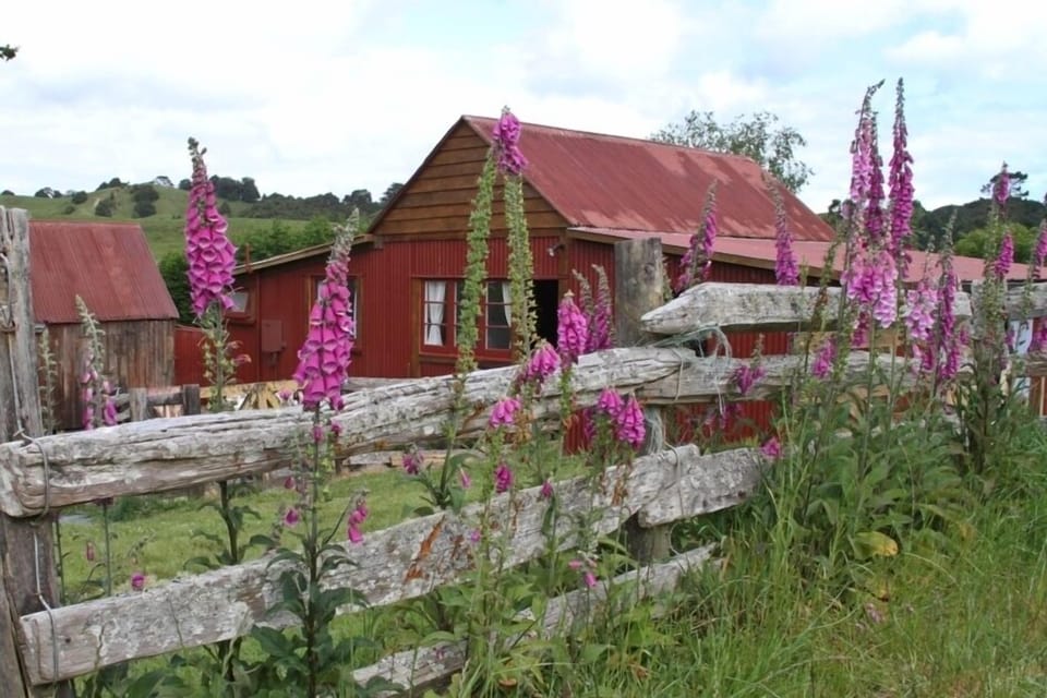 Back view of Barn