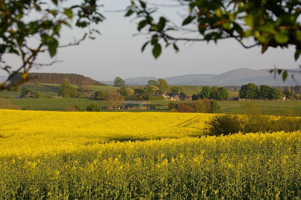 Looking towards Etal.