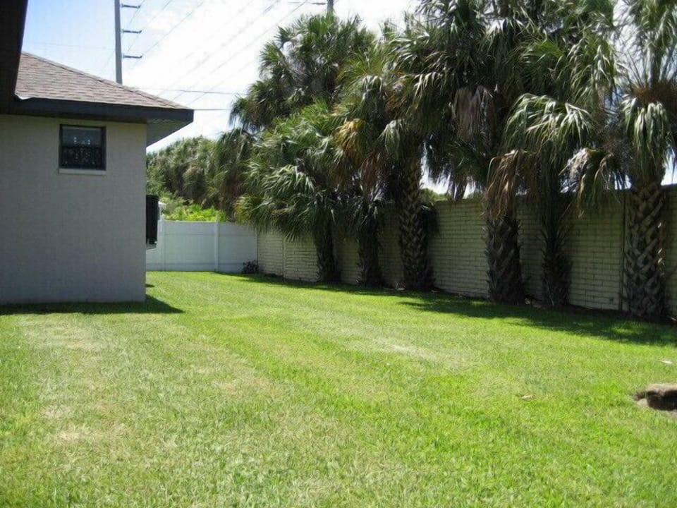 Gorgeous palm trees line the backyard