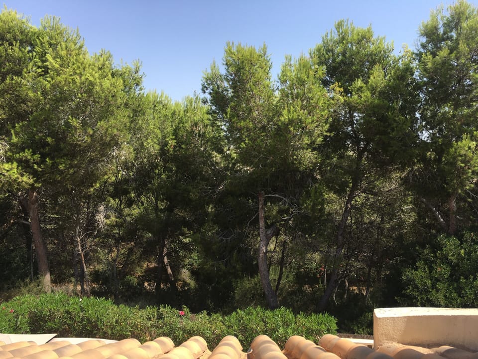 Green space behind villa 