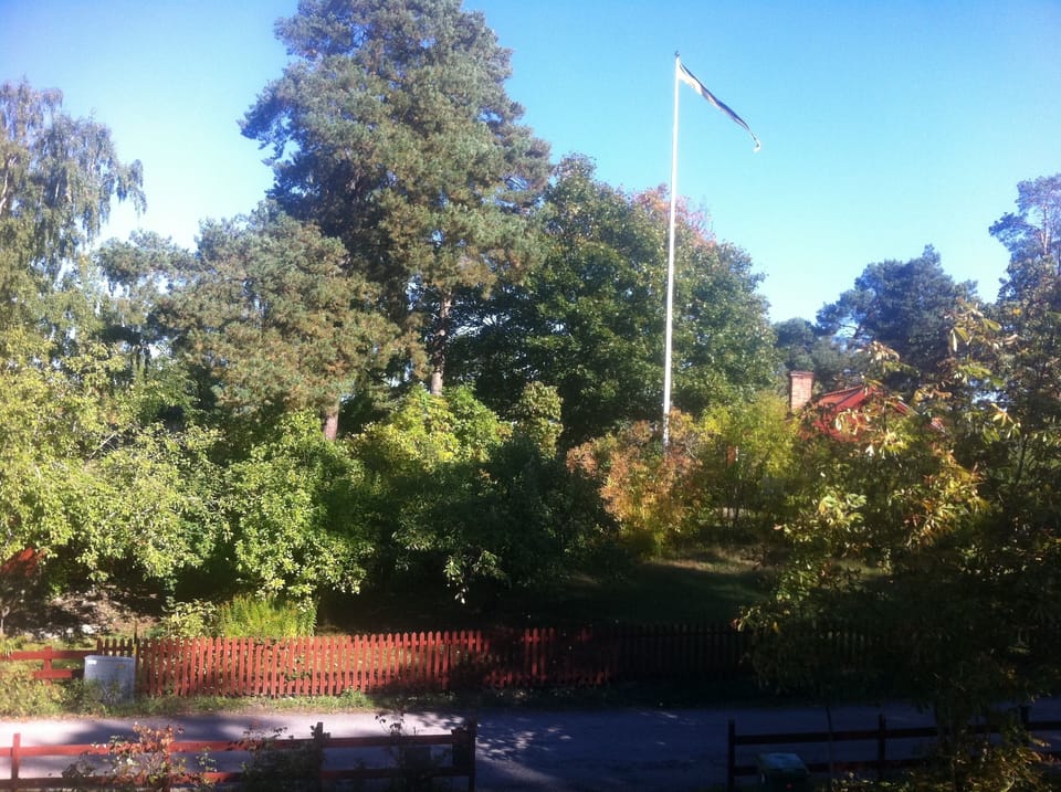 In front of Ocean Atellier, the ocean and archipelago is in front of the large trees.