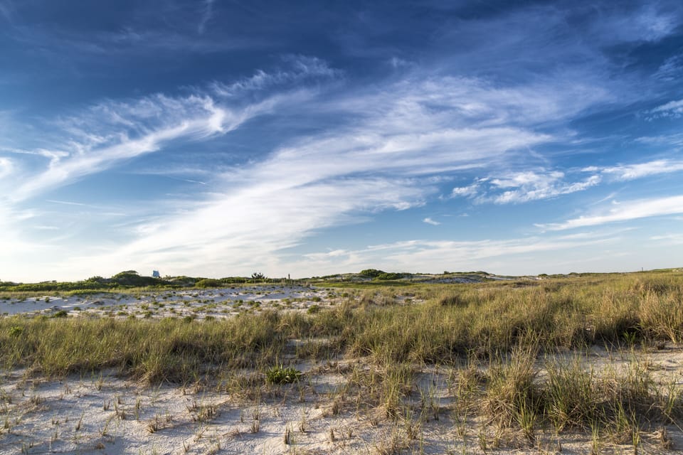 Sand dunes at the beach