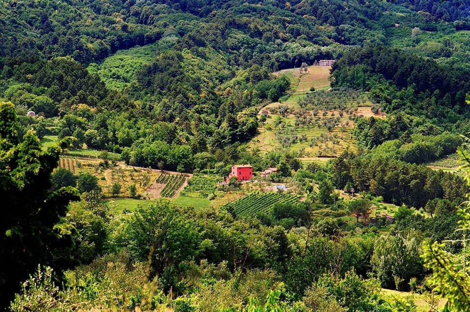 Casa a Corte in the view and reason we bought our house