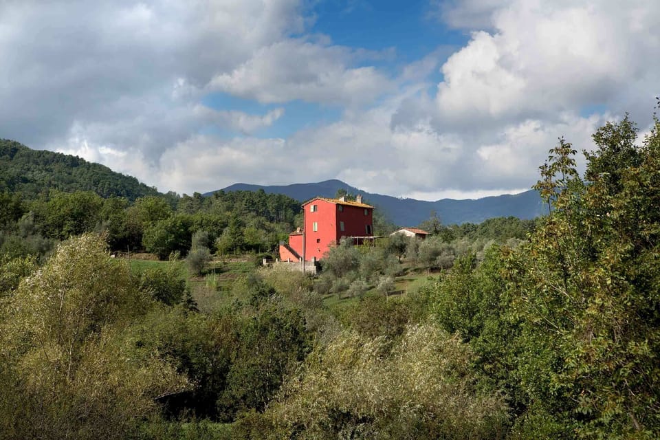 The house from southerly aspect, pool & barn on the right, surrounded by garden
