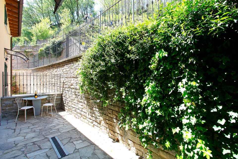 The rear terrace 