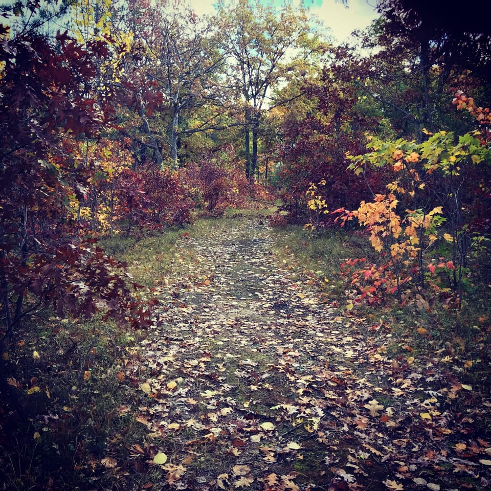 Trails behind our home...
