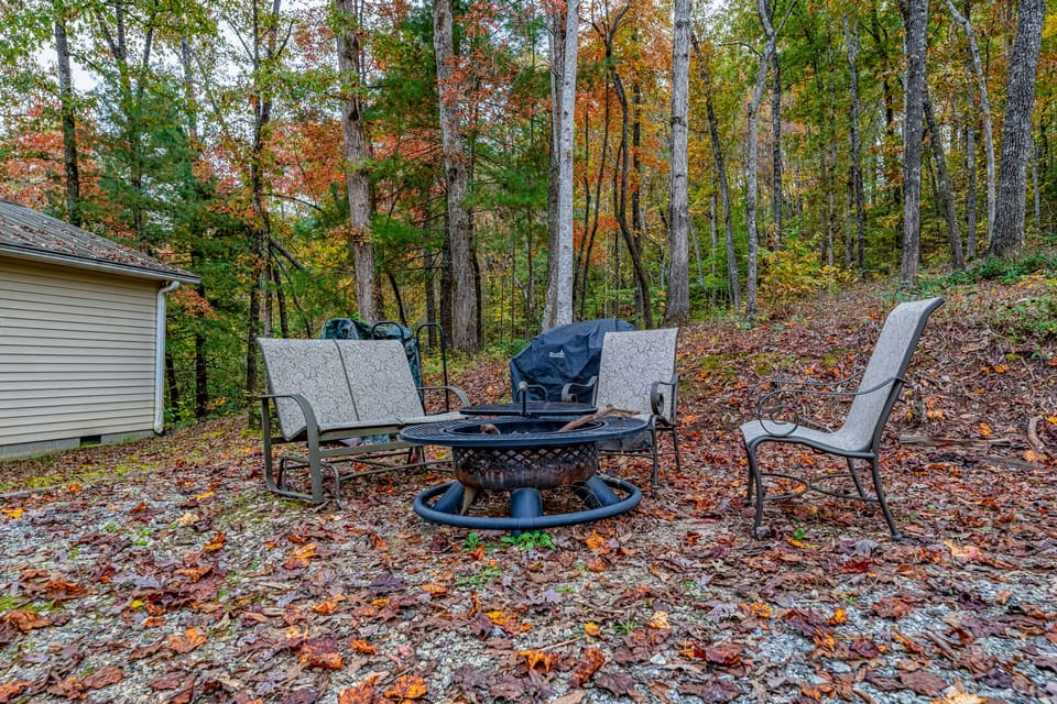 Fire pit, gas grill and charcoal grill, we do provide the wood for your use. 