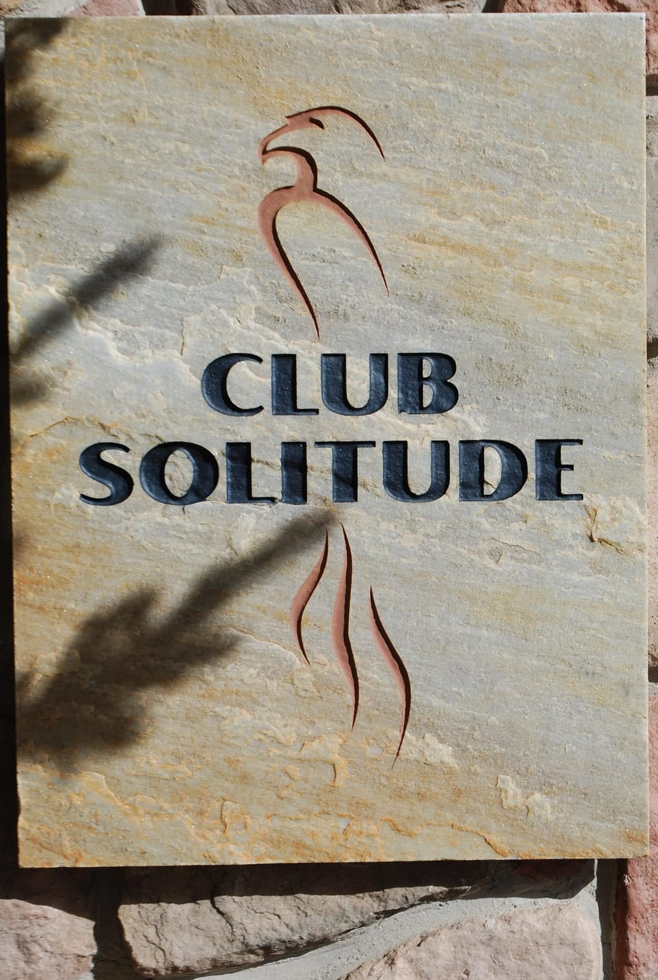 Club Solitude includes pool with slide, hot tubs, sauna, billiards, theater room