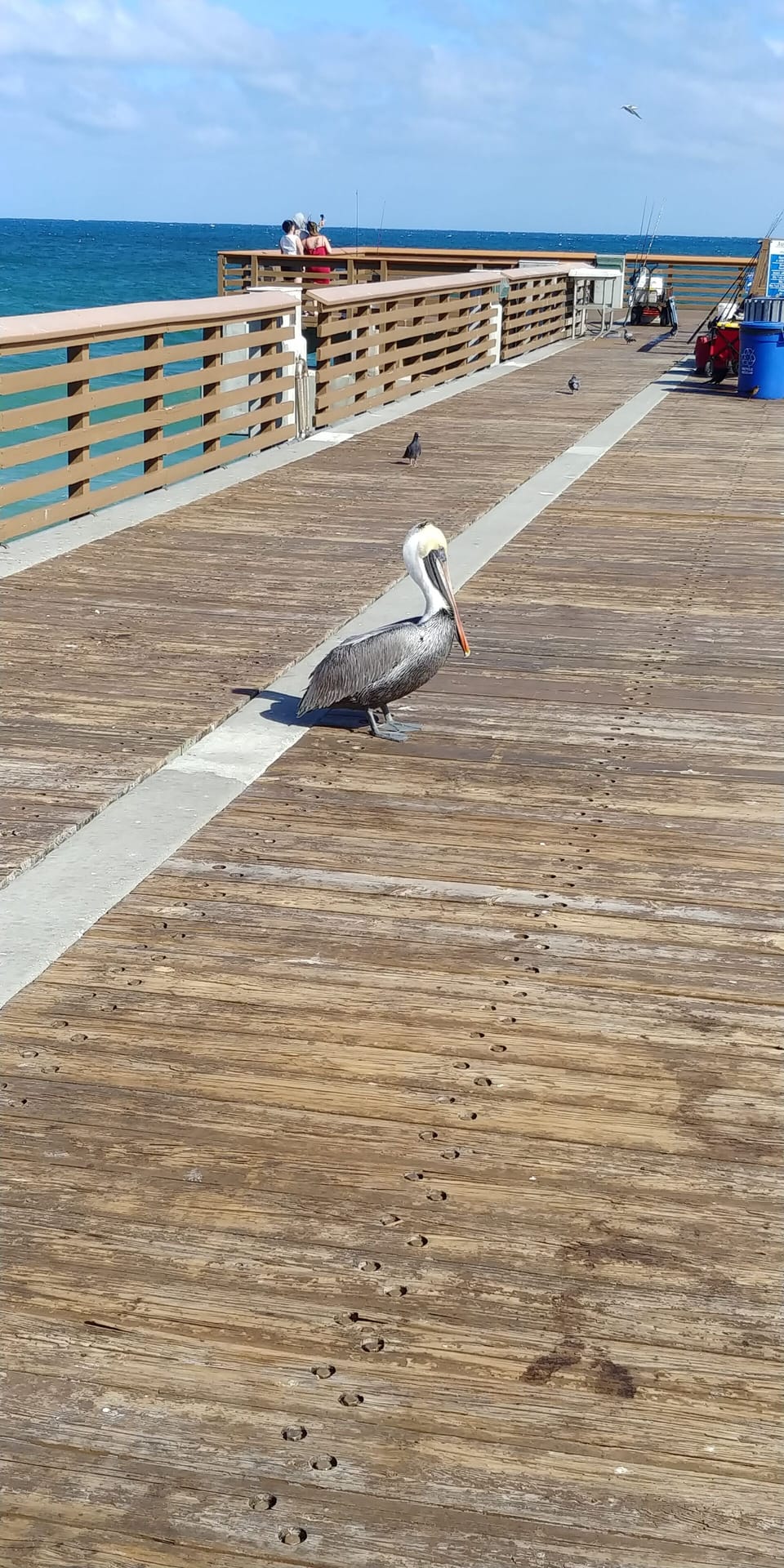 Walk to Juno Beach Pier
