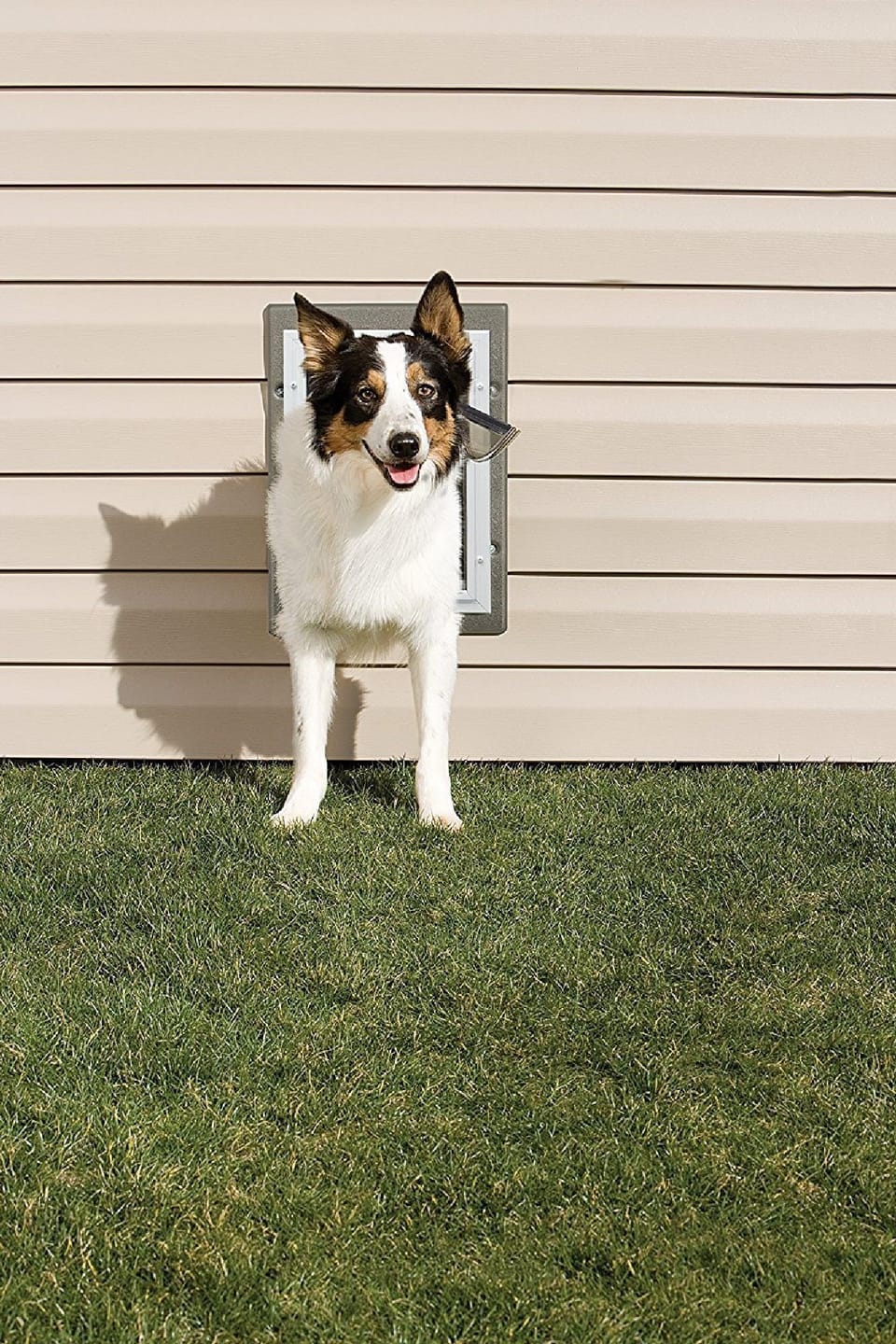 2nd bedroom has Medium size Pet door (8 1/4" W x 12 1/4" H) 