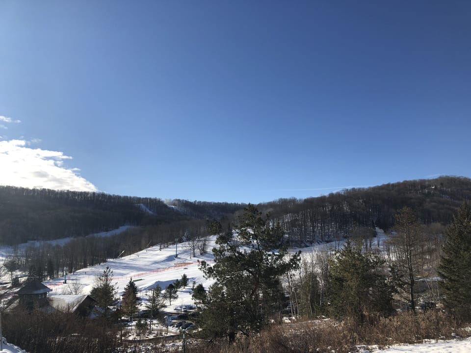 View