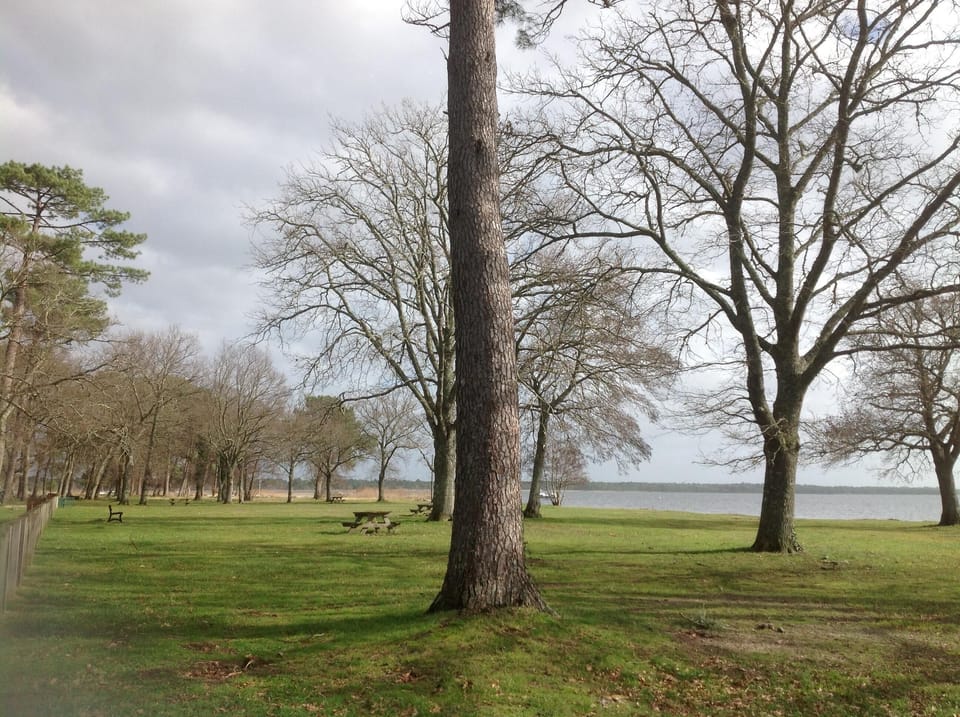 With endless Silver beaches we also have a string of stunning lakes just inland.