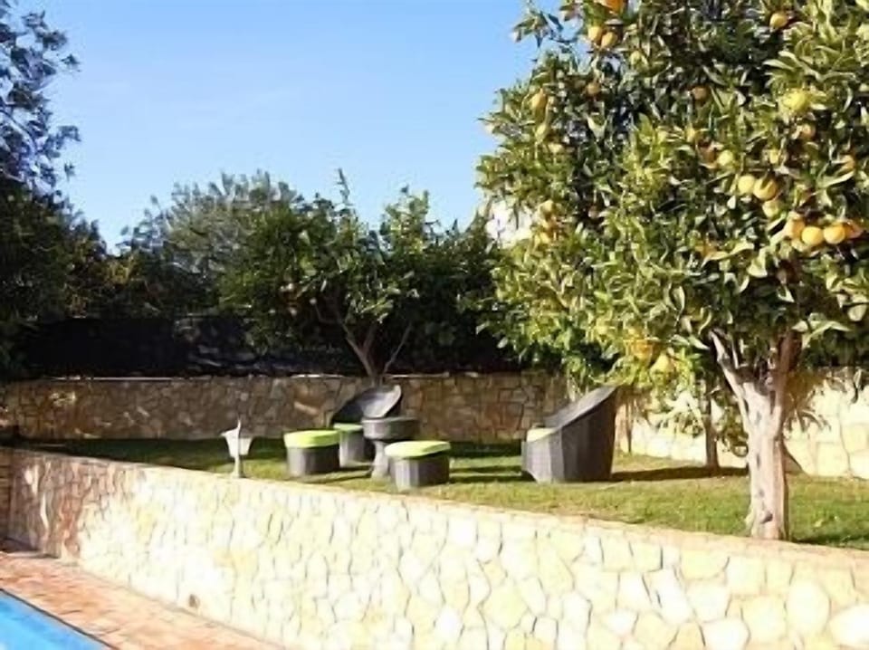 Top garden with orange Trees
