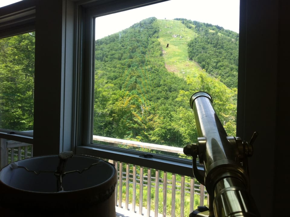 View of mountain from inside the condo.