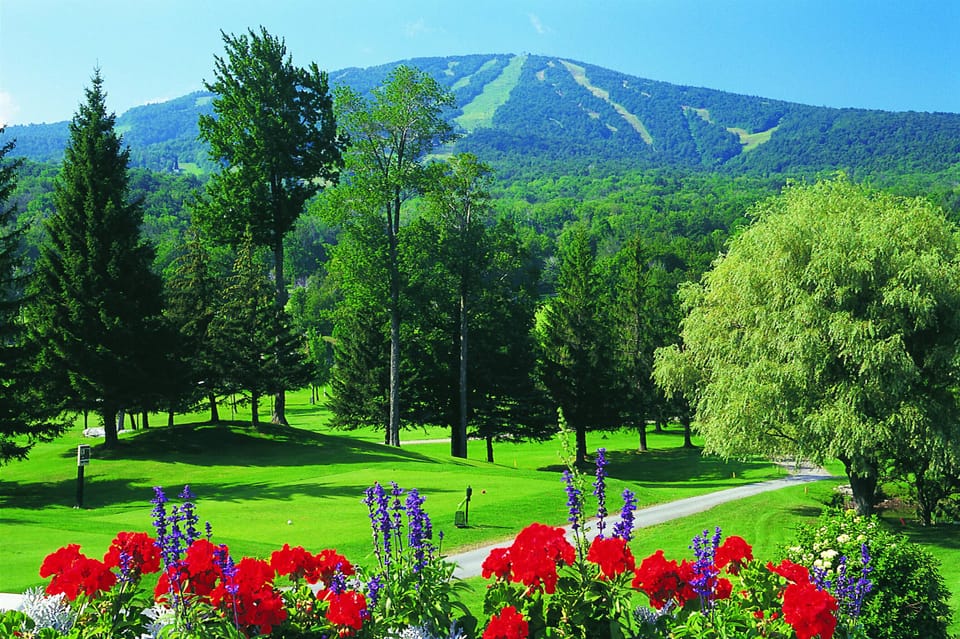 View of Stratton from the Golf course 