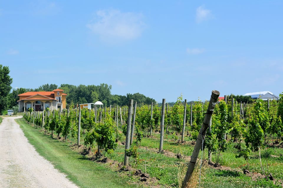 Paglioni winery 5 min drive, 15 min bike ride from the cottage.