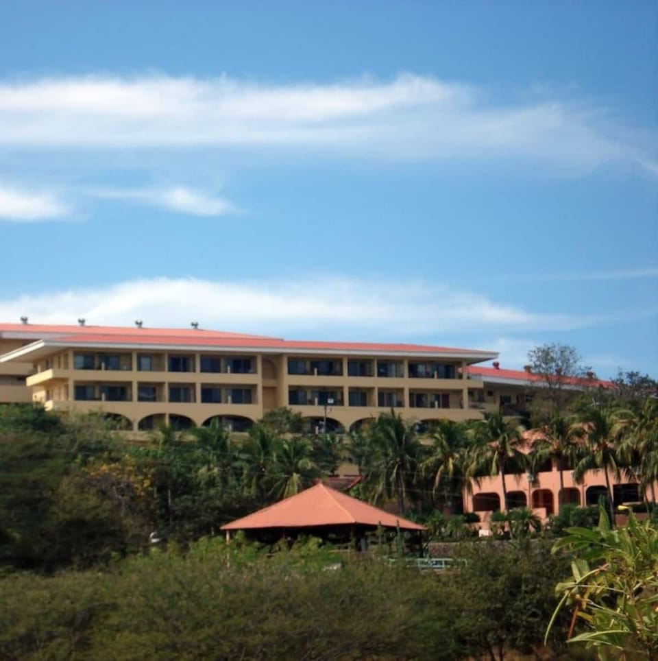 We are located at the top right corner, giving you 180 degree view from flamingo