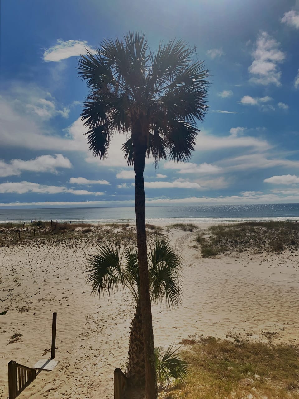 View from balcony. Oct 2020