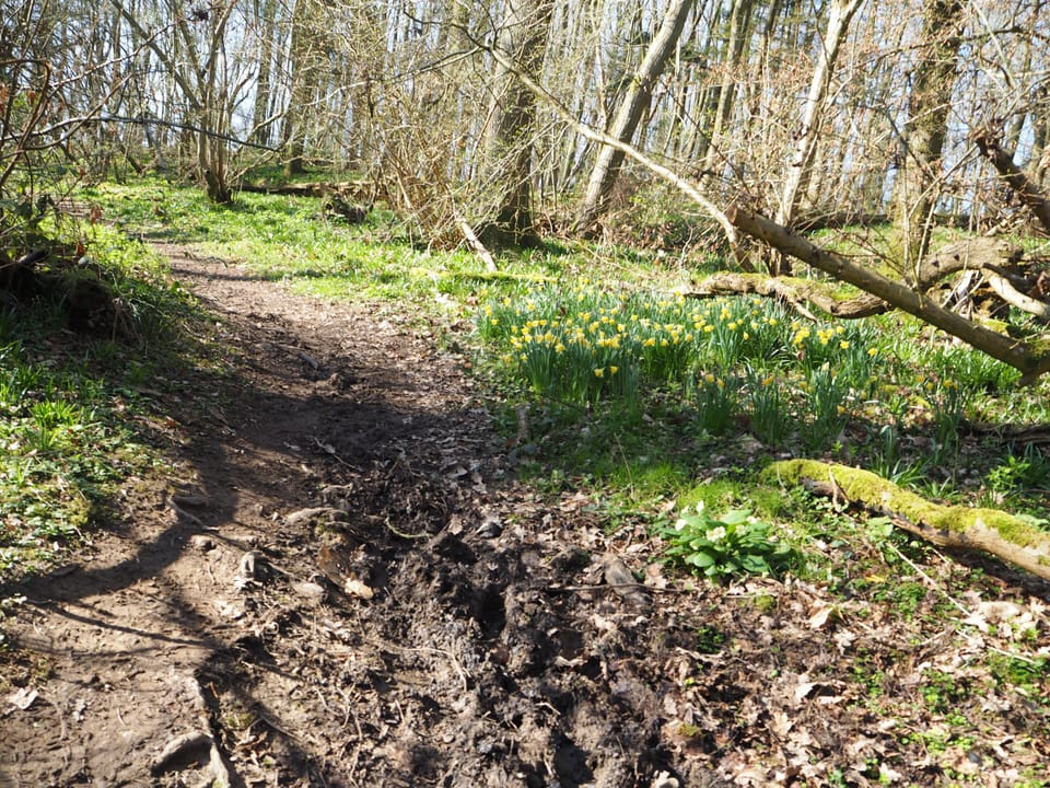 The walk to Thakeham village in the spring
