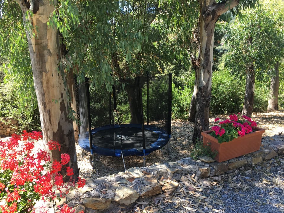 the trampoline