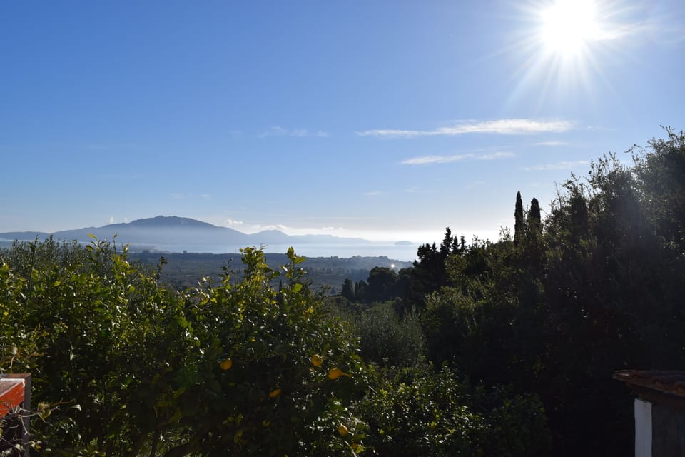 Balcony views over the olive groves