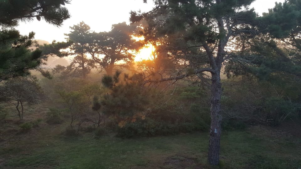 Overlooking deck sunrise toward Long Pond