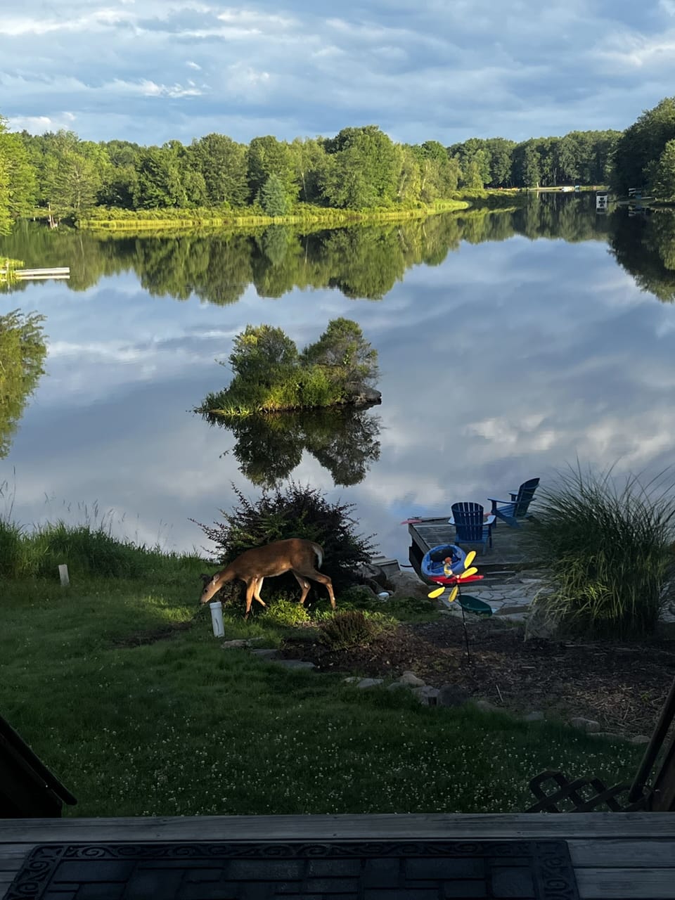 View from property