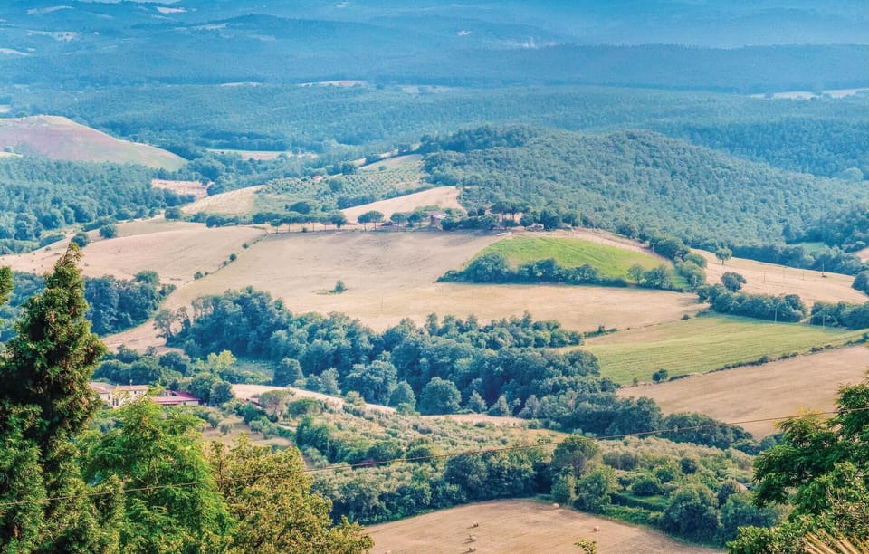 area