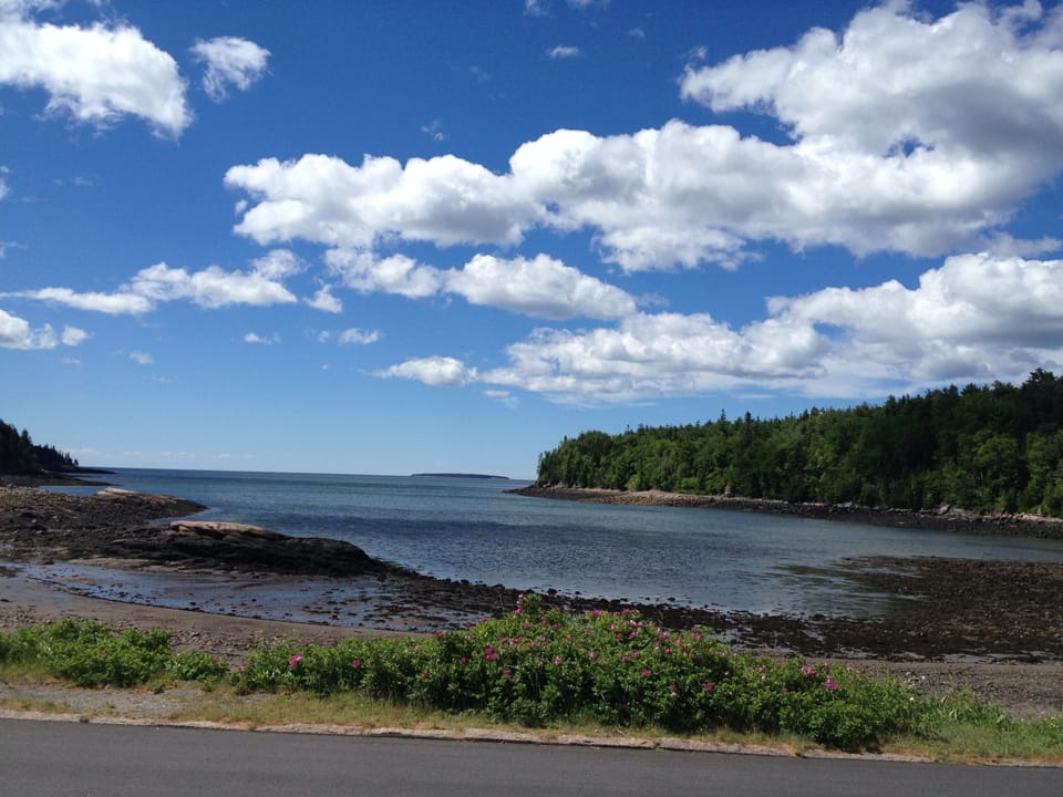 We love exploring the shore of Otter Cove at low tide - starfish, crabs, more!