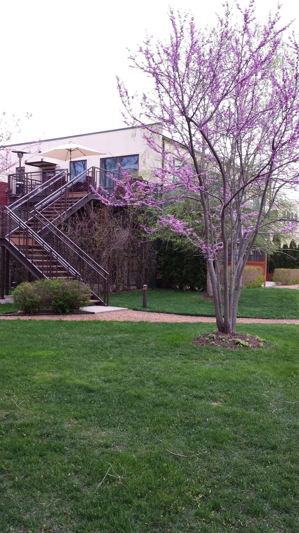 Follow the Stairs to Enter "The Penthouse".Relax & Enjoy the View From the Deck!