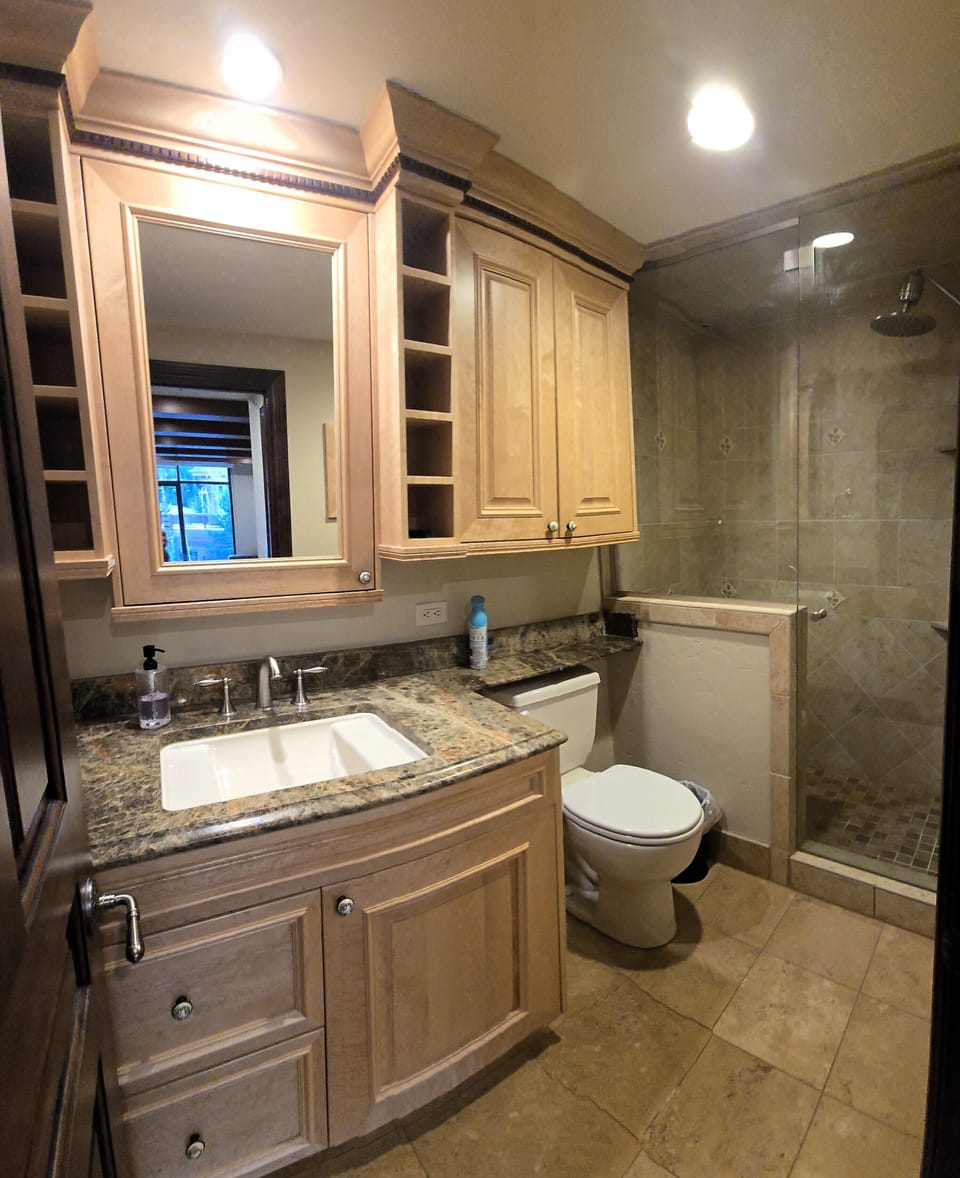 Master Bathroom with Walk-in Shower attached to Bedroom