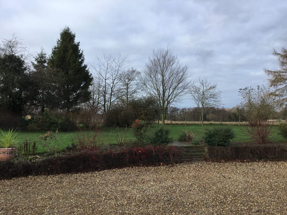 The garden