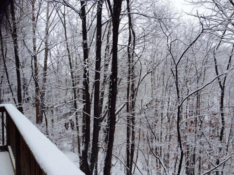 View from back deck