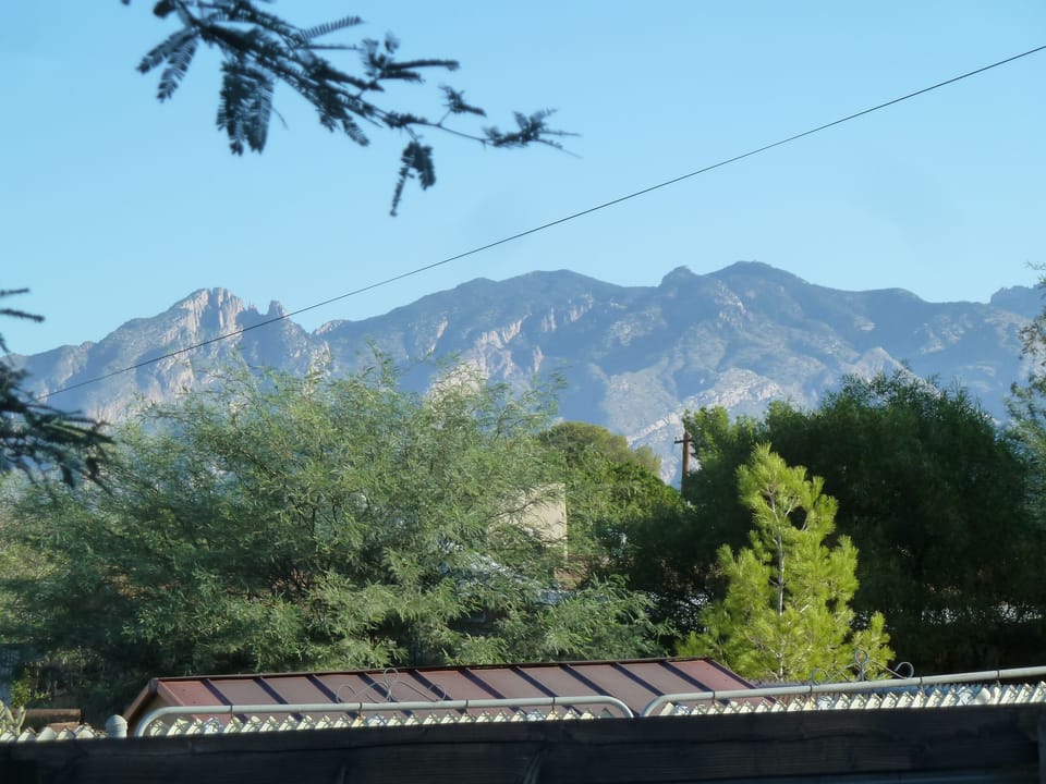 Catalinas from the enclosed yard