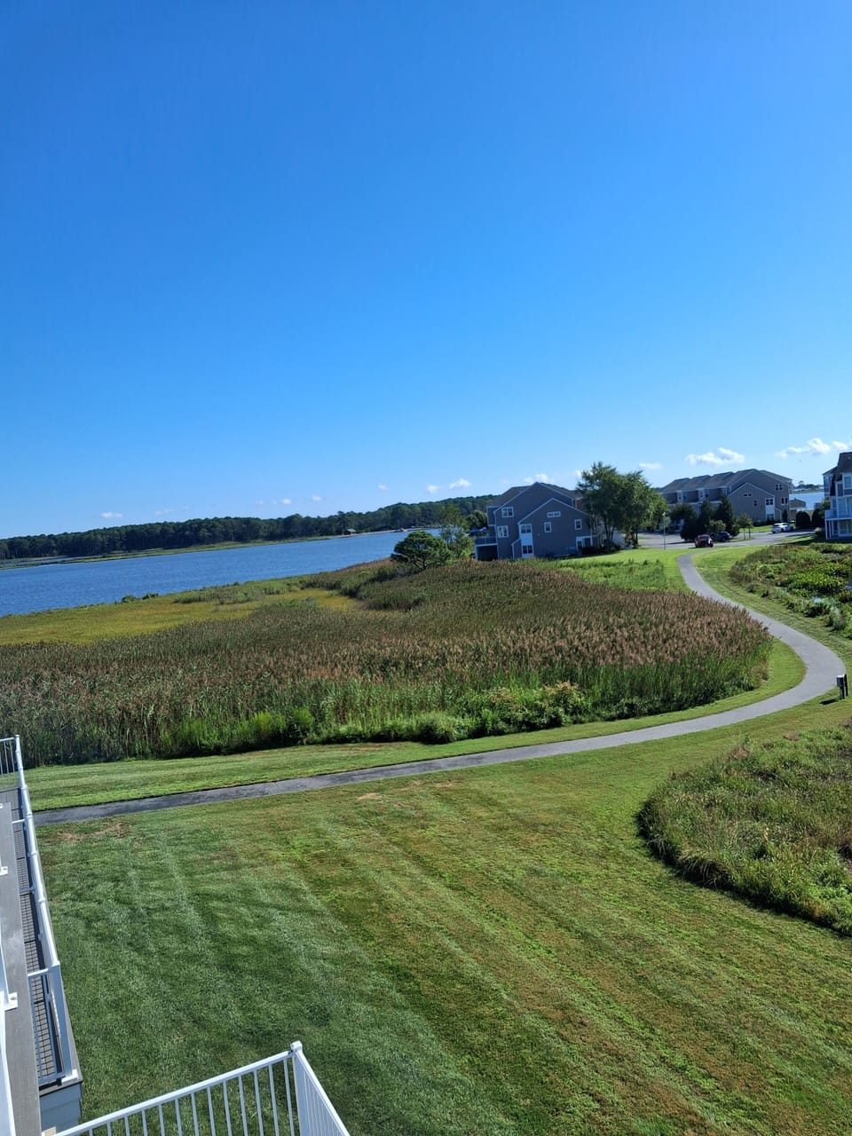 View from property