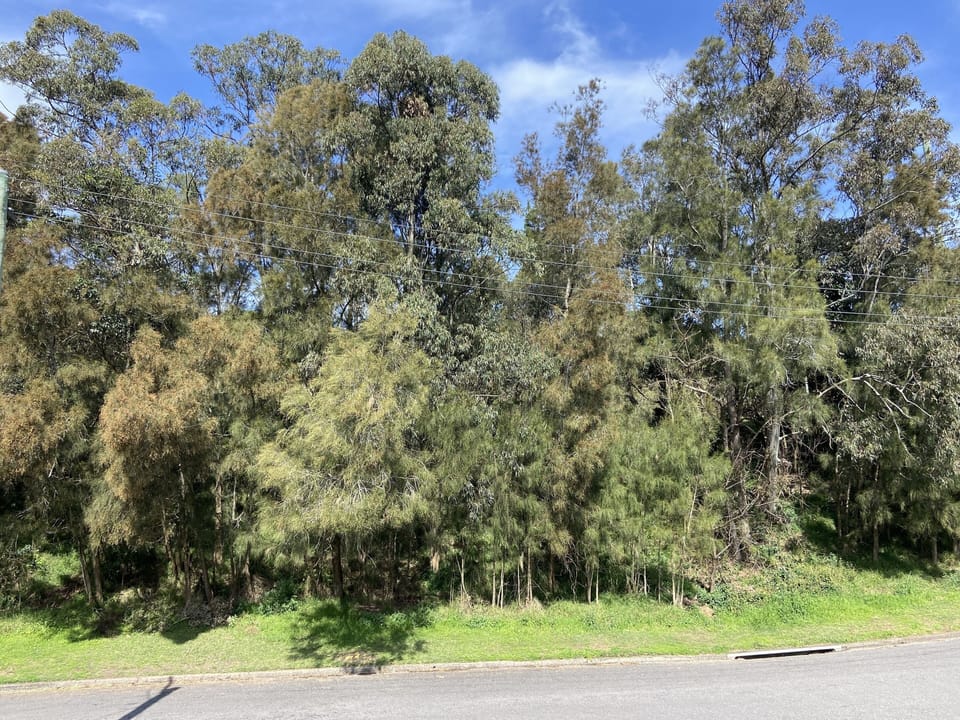 Myamblah Oval across the road. Plenty of off street parking plus a single garage