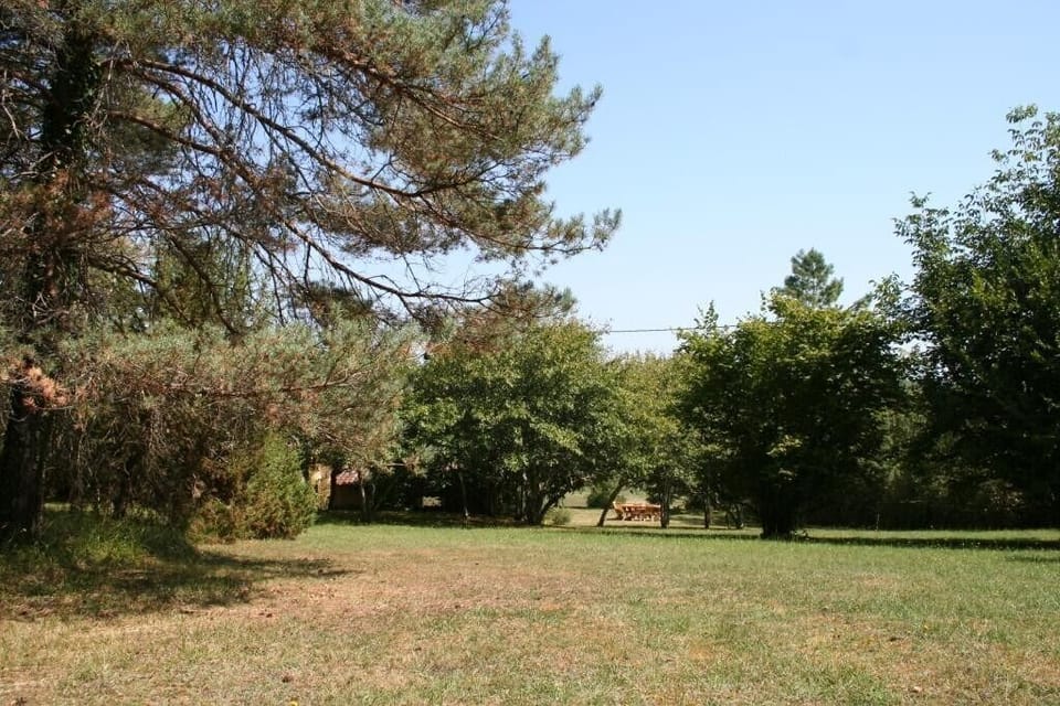 View from top of Garden