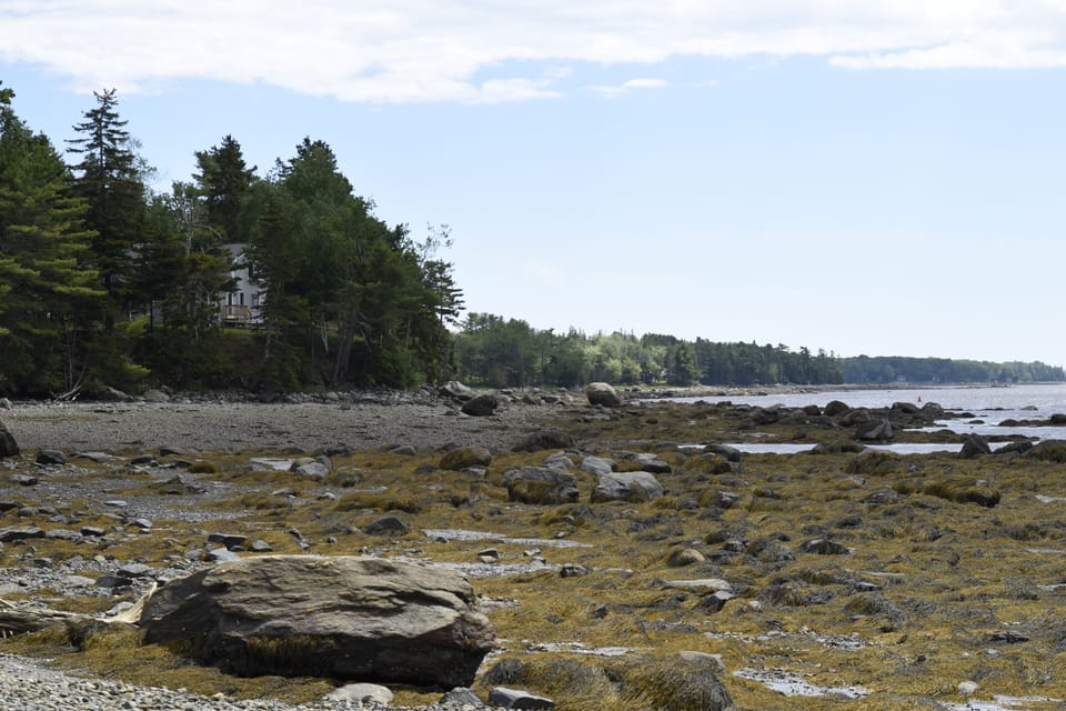 View from point towards home (peaking through on left).
