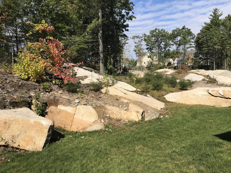 Beautiful natural rock formations in backyard