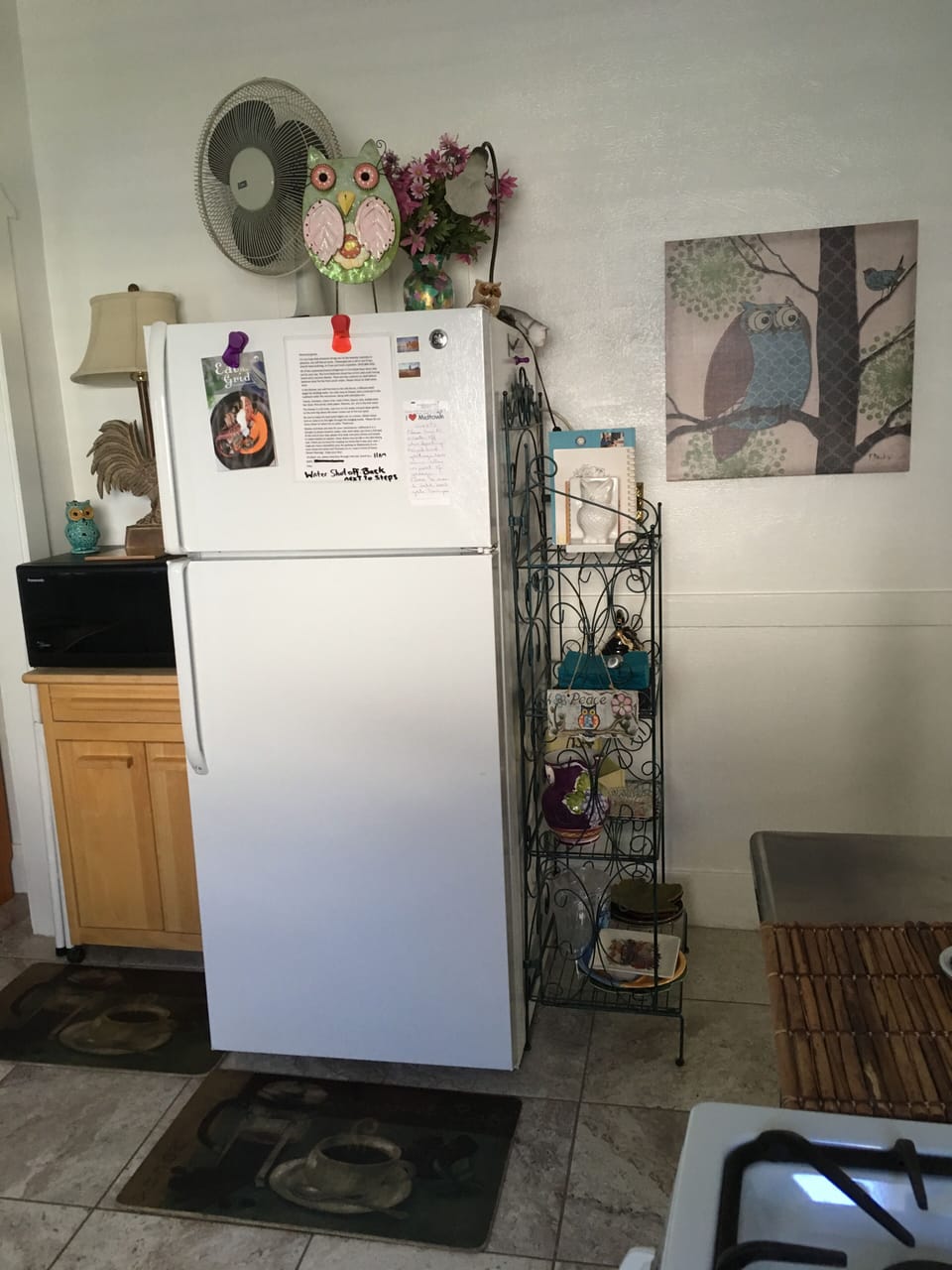 Full refrigerator 