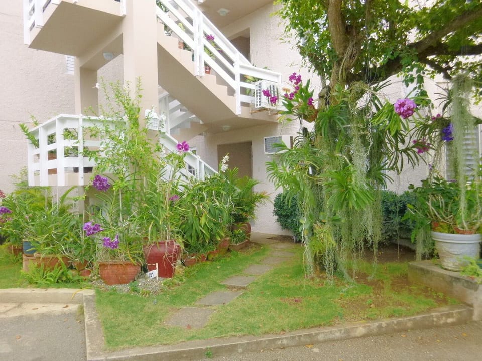 Spectacular orchids and local plants at the apartment entrance