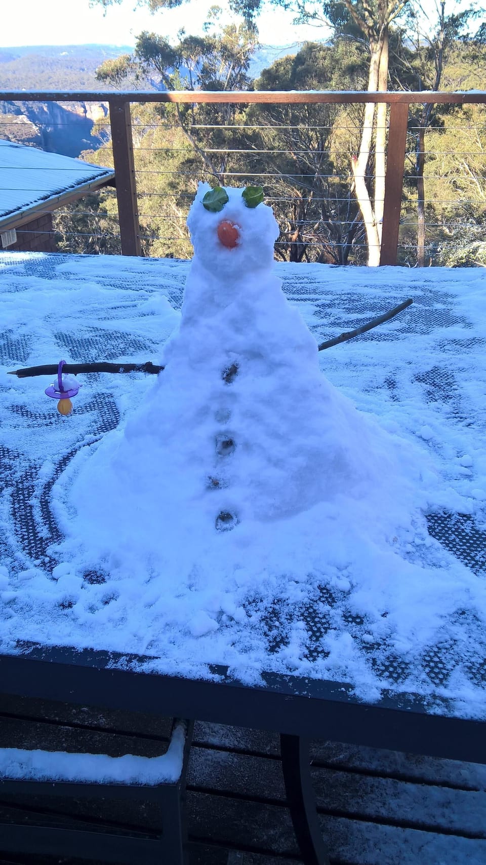 "Do you want to build a snowman?" It often snows around July at Mt Victoria.