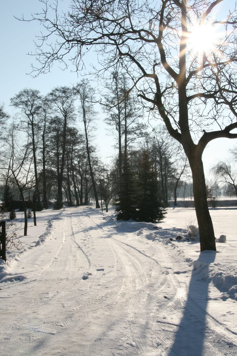 Snow and ski sports