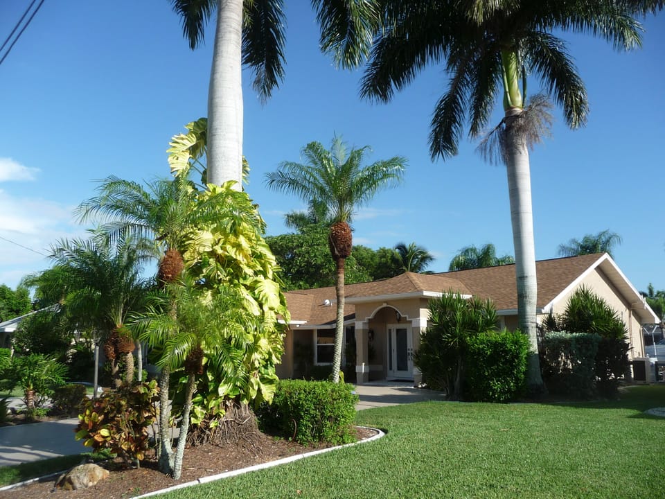 Large triple lot professionally landscaped with 9 mature palm trees