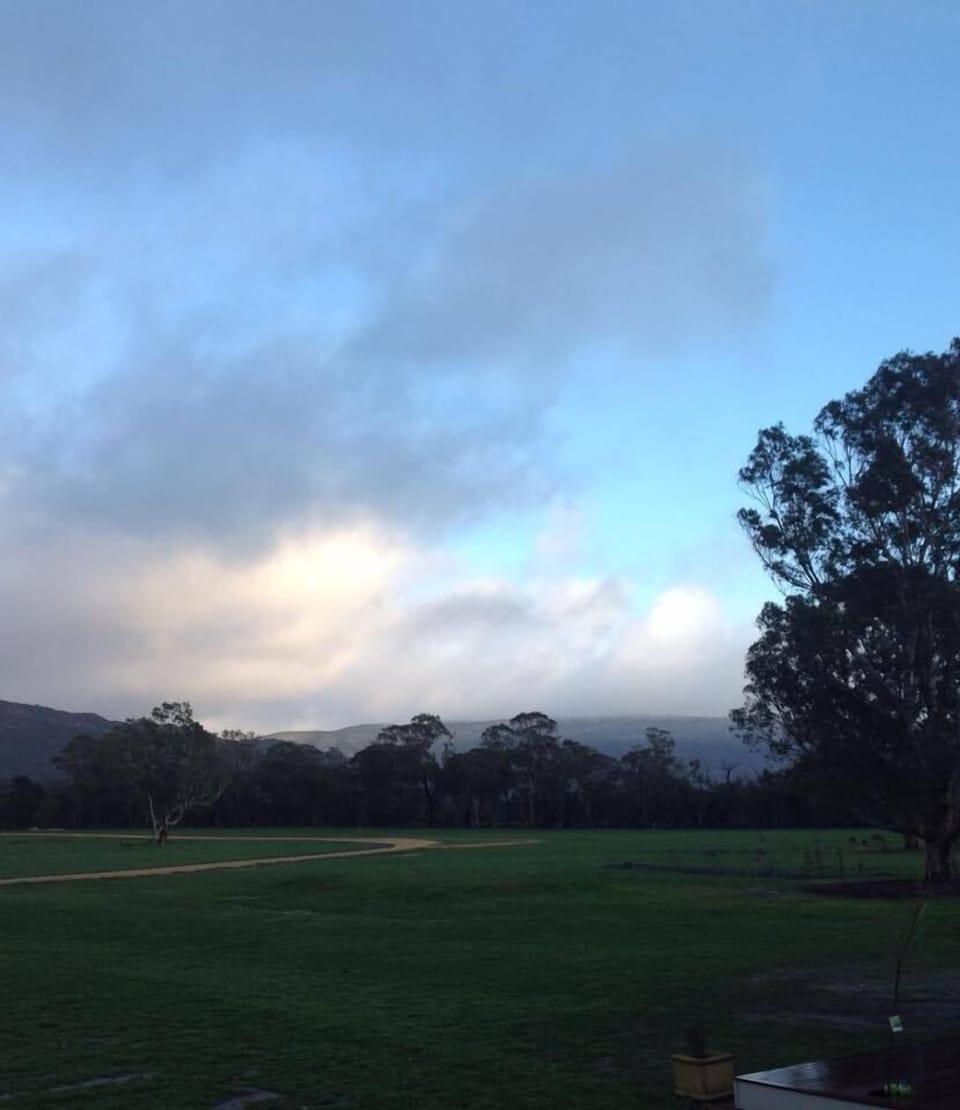winter views 
