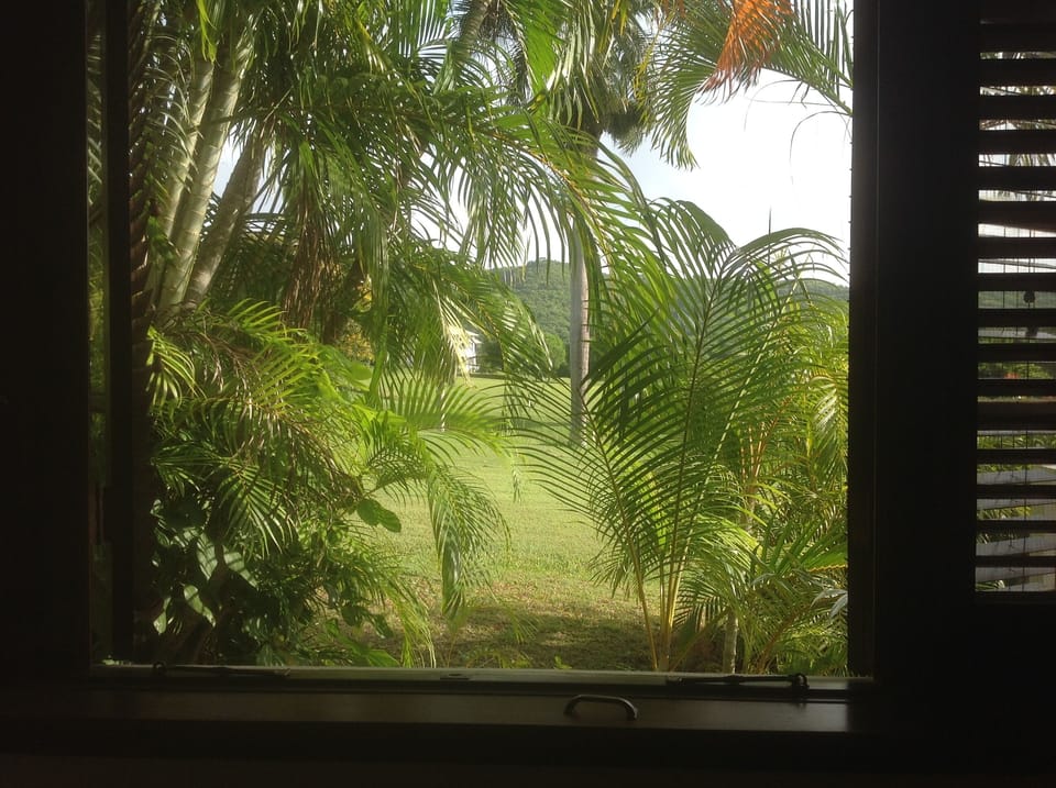 Your view from the bedroom window