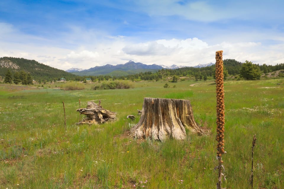 11 acres with the view of the San Juan Mountains.