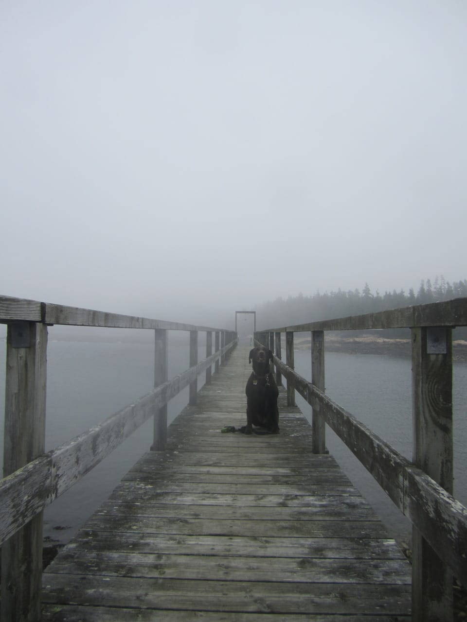 The fog rolling in at Frazer's point...