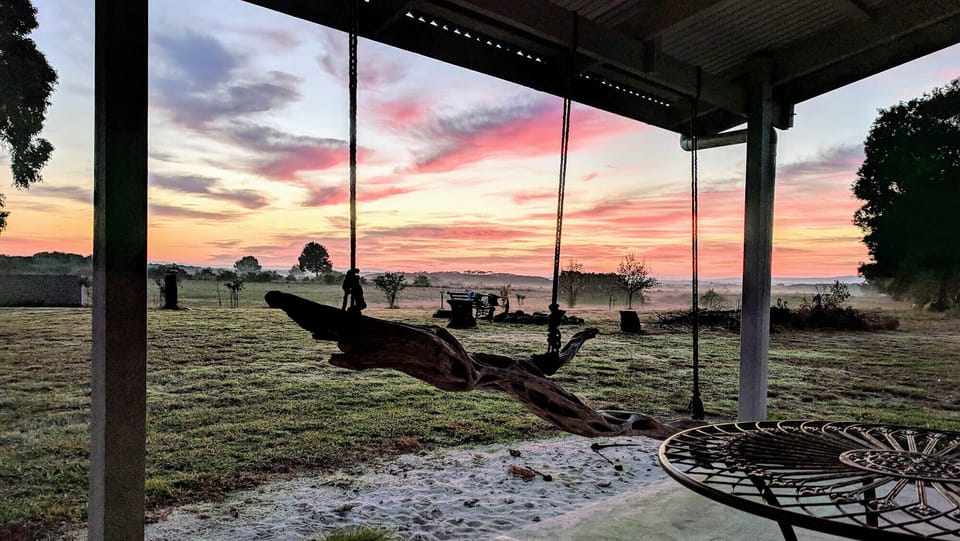 Driftwood at dawn